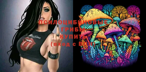 эйфоретик Алзамай