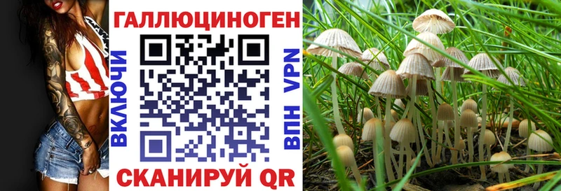 Псилоцибиновые грибы мицелий  Анжеро-Судженск 